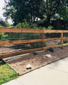 a fenced in garden area with various plants and rocks on the ground next to it