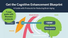 Get the Free 9-Page BDNF Protocol Guide: The Cognitive Enhancement Bluep... Brain