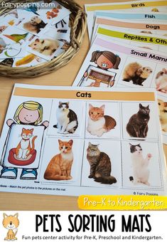 several pictures of cats and kittens with the words pets sorting mats