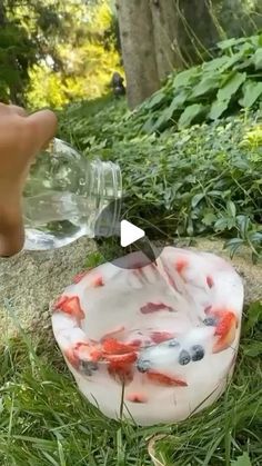 a glass bowl filled with water and fish in the grass