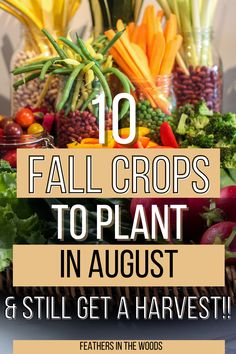 10 different vegetables to plant in August Late Summer Vegetables To Plant, Fall Crops Vegetable Garden Zone 7, Fall Seeds To Plant, Fall Crops Vegetable Garden, Fall Vegetables To Plant, Fall Crops, August Garden, Fall Gardening, Fall Planting