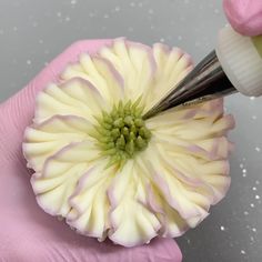 a person in pink gloves is cutting a flower with a pair of tweezers