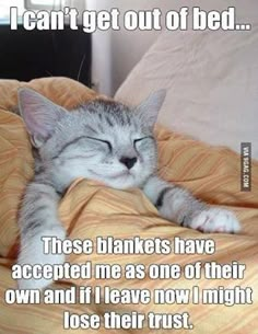 a cat sleeping on top of a bed with the caption, these blankets have accepted me as one of their own and if i leave now i might lose their trust