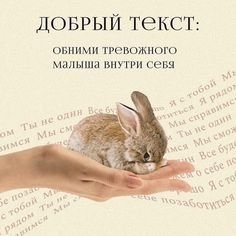 a person holding a small rabbit in their hand with the words russian on it's back