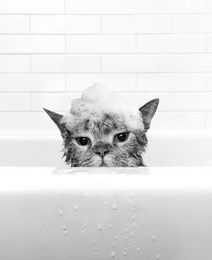 a cat that is sitting in a bathtub with soap on its head and eyes