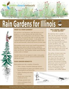 the flyer for rain gardens for illinoiss