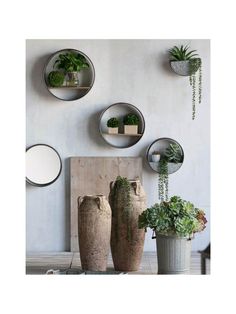 three vases with plants in them are on the wall next to mirrors and shelves