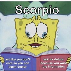 spongebob reading a book with the caption scorpio act like you don't care so you can seem