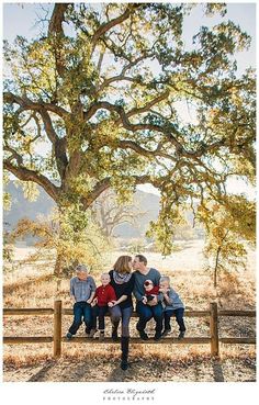 a family sitting on a bench under a tree