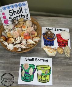 there is a bowl full of shells on the table and two signs that say shell sorting