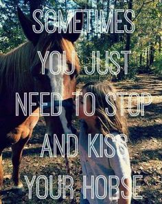 Equine Quotes, Funny Horse Memes, Cowgirl Quote, Horse Jokes, Inspirational Horse Quotes, Horse Riding Quotes, Equestrian Quotes, Riding Quotes, Horse Inspiration