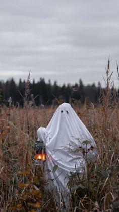 a person covered in a white cloth is walking through tall grass with an orange light on their head