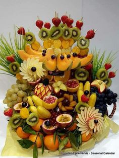 an arrangement of fruit is arranged in the shape of a dog