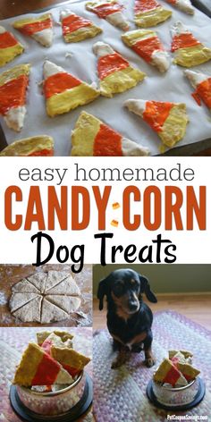 easy homemade candy corn dog treats for dogs and cats to make with the help of their owners