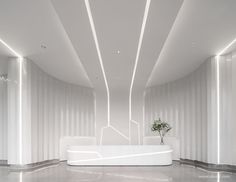 a white room with a plant in the center and lights on the walls above it