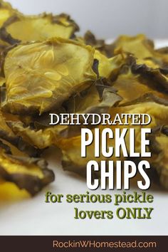 dried pickle chips with text overlay that reads, dehydrated pickle chips for serious pickle lovers only