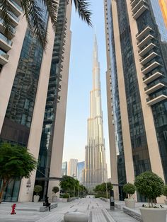 the burj building is surrounded by palm trees and tall buildings in the background