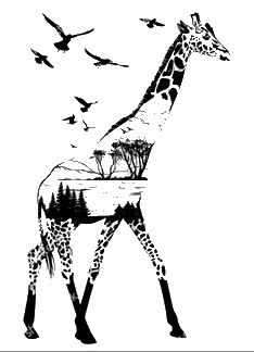 a giraffe is walking with birds flying around it in the sky behind him