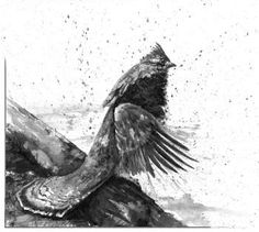 a black and white drawing of a bird sitting on top of a tree stump with its wings spread