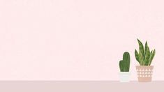 two potted plants sitting on top of a wooden table next to a pink wall