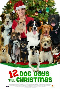 a man standing in front of a christmas tree with many dogs around him and the words 12 dog days till christmas