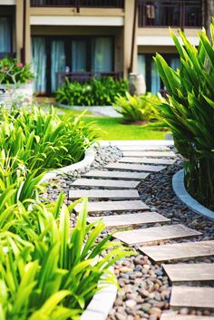 the walkway is lined with green plants and rocks in front of an apartment building that has balconies