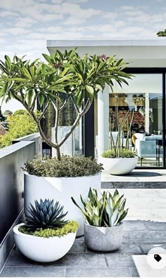 three planters with plants in them sitting on a ledge near a patio and table