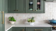 a kitchen with green cabinets and white counter tops is pictured in this image, there are two plants on the stove