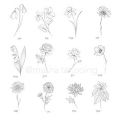 the different types of flowers drawn in pencil