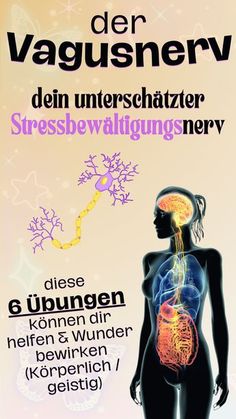 Spirituelle Körpersprache: In der Yoga-Philosophie wird der Vagusnerv auch als „Nadi“ bezeichnet, was so viel bedeutet wie „Energiekanal“. Es wird angenommen, dass der Vagusnerv in diesem Kontext dazu beitragen kann, die Energie des Körpers zu regulieren und den Fluss von Prana, der vitalen Lebensenergie, zu unterstützen Vagus Nerve, Yoga Health, Yin Yoga, Alternative Health, Daily Workout, Yoga Meditation, Holistic Health