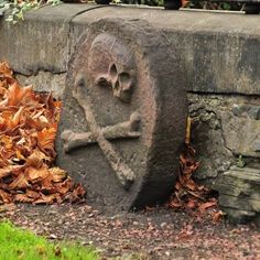 a rock with a skull and cross on it in the middle of some leaves next to a stone wall