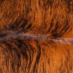 an animal's fur that is brown and black