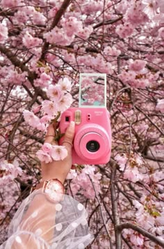 a person holding up a pink camera in front of cherry blossoms