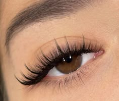 Wispy Eyelashes, Eyelashes Extensions, Lashes Extensions, Lash Extensions Styles, Perfect Eyelashes