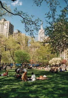 many people are sitting on the grass in a park with trees and buildings behind them