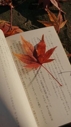 an open book with a leaf laying on it's side next to some leaves