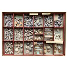 a display case filled with lots of rocks