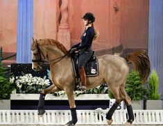 a woman riding on the back of a brown horse in front of a stage with flowers