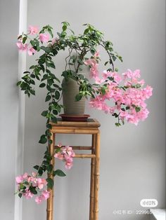 a potted plant sitting on top of a wooden table next to a ladder with pink flowers