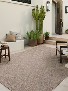 a large cactus in a pot sitting on top of a rug