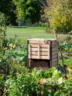 a garden filled with lots of green plants and dirt next to a wooden box on the ground