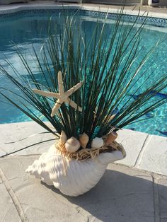 a potted plant with starfish and seashells in front of a swimming pool