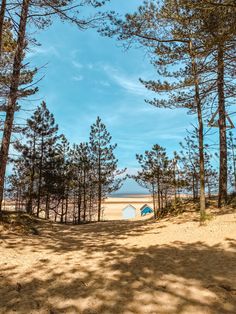 there is a blue surfboard sitting in the middle of some trees on this beach