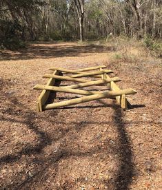 a wooden bench sitting in the middle of a forest next to a dirt road and trees