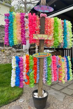 there is a tree with many colorful streamers hanging from it