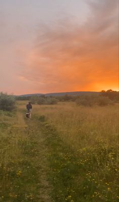 a person walking down a path in the middle of a field