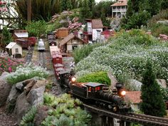 a model train is coming down the tracks in a garden with flowers and trees on both sides