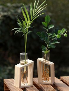 two vases with plants in them sitting on a wooden table next to each other