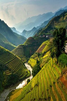 the mountains are covered with rice terraces and rivers running through them, as seen from above