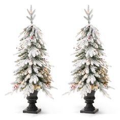 two small christmas trees with lights and snow on the top, one is black in color